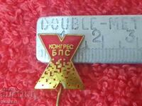 Old Badge Bronze Pin Enamel X Congress BPS Excellent