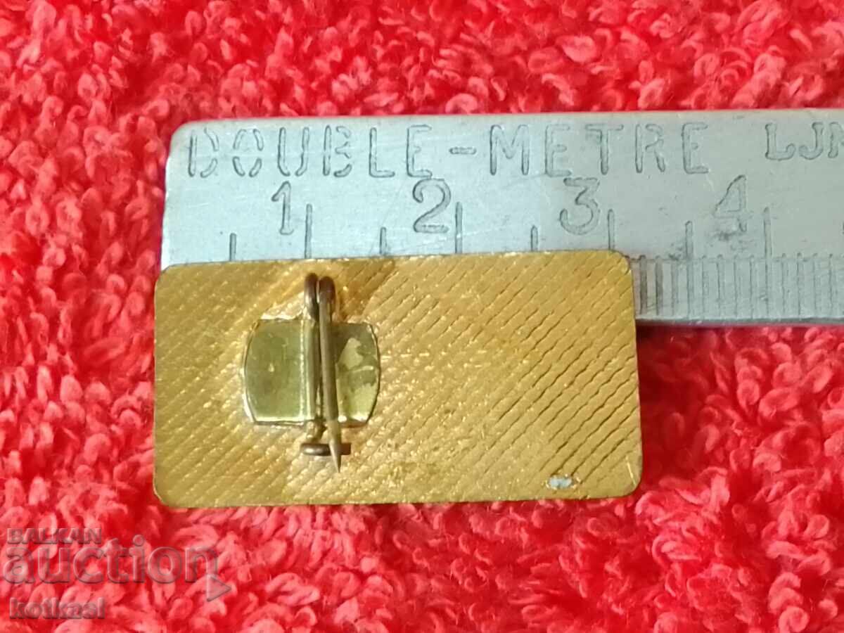 Old bronze badge 1972 SECOND BULG CULTURE CONGRESS with price 12.50 BGN | € 6.39 Old bronze badge 1972 SECOND BULG CULTURE CONGRESS with price 12.50 BGN | € 6.39