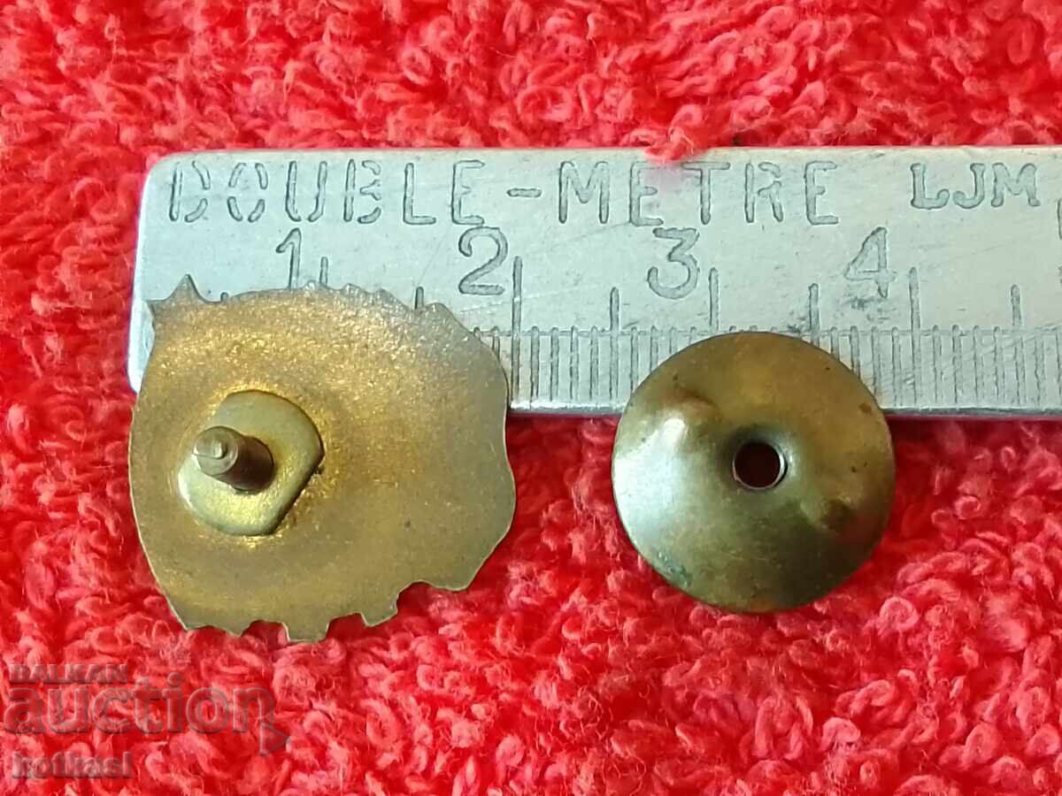 Old soc Enamel pin badge SNM G. Dimitrov excellent with price 21.00 BGN | € 10.74