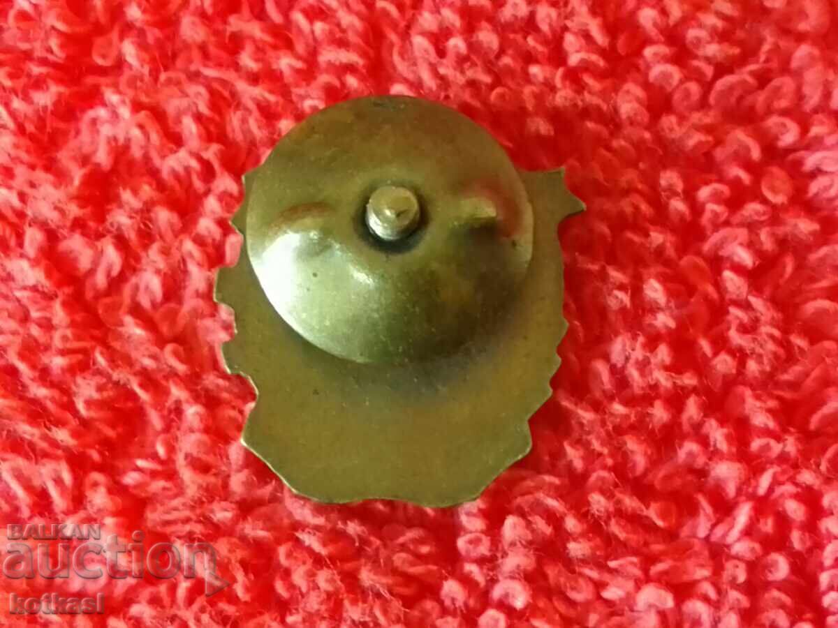 Auction  Old soc Enamel pin badge SNM G. Dimitrov excellent