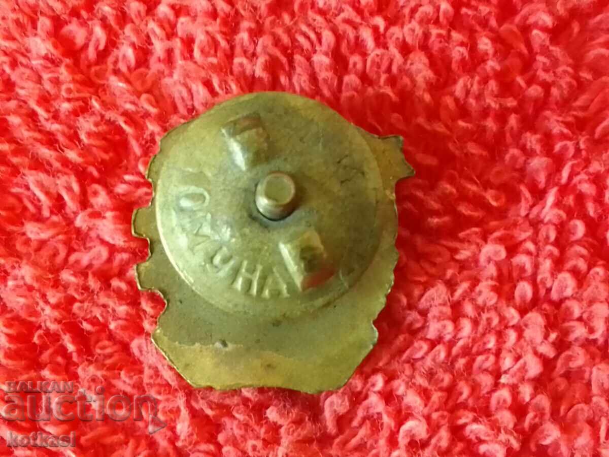 Licitație Old Soc Badge Badge email pe șurub DSNM excelent Licitație Old Soc Badge Badge email pe șurub DSNM excelent