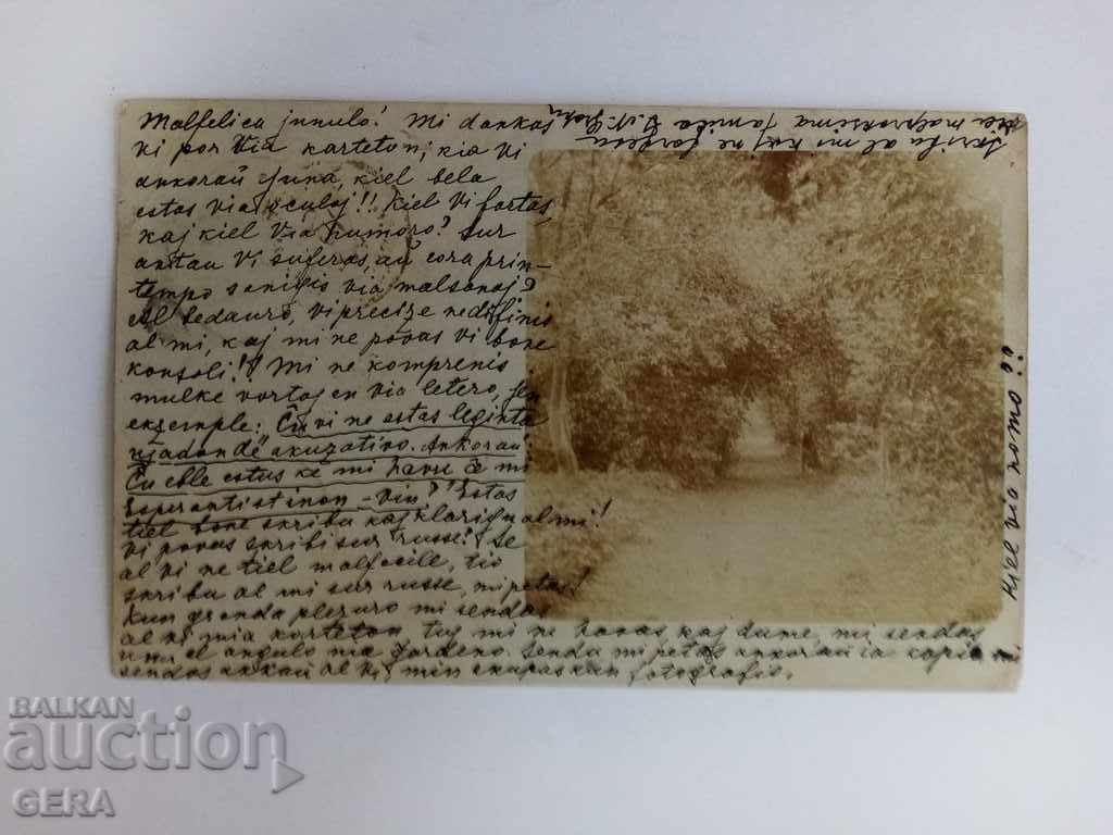 Cards with price 20.00 BGN | € 10.23 Cards with price 20.00 BGN | € 10.23