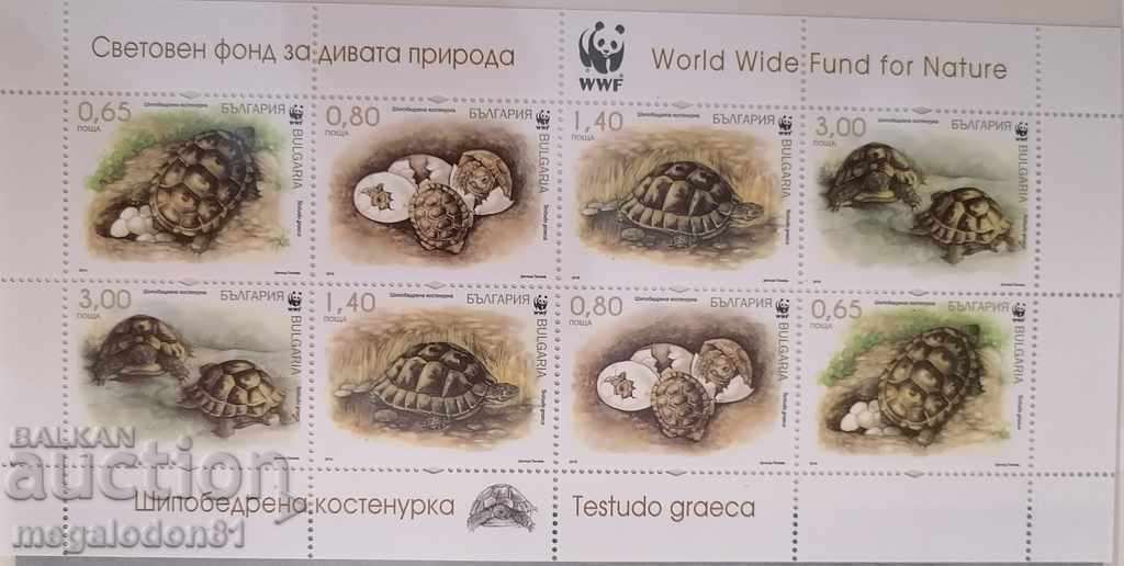 България  - WWF, фауна, шипобедрена костенурка