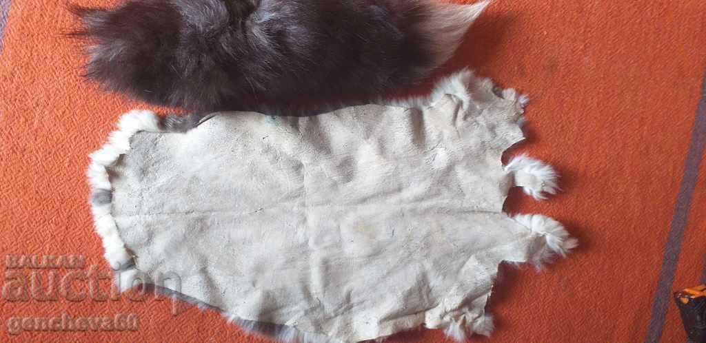 Delivery of Rabbit skin and fox tail for decoration Delivery of Rabbit skin and fox tail for decoration