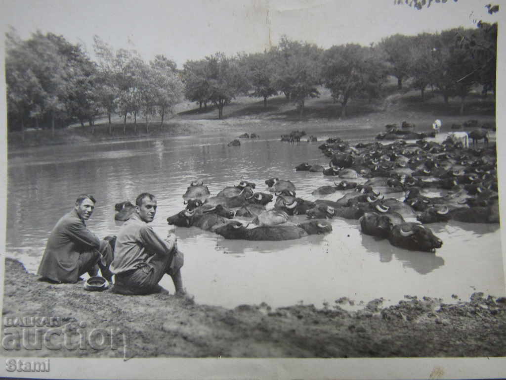 Old postcard from 1933 with price 7.00 BGN | € 3.58 Old postcard from 1933 with price 7.00 BGN | € 3.58