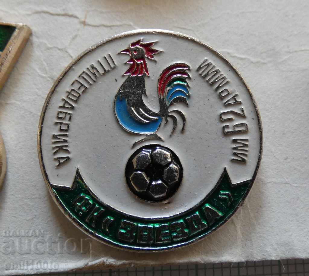 Badge - Football FC Zvezda Poultry Farm 62nd Army of the USSR