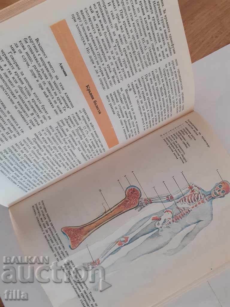 Delivery of The human body - healthy and sick Delivery of The human body - healthy and sick