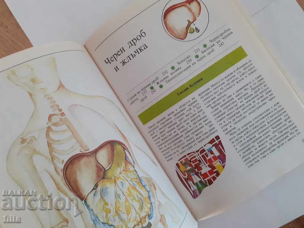 The human body - healthy and sick - 5 The human body - healthy and sick - 5