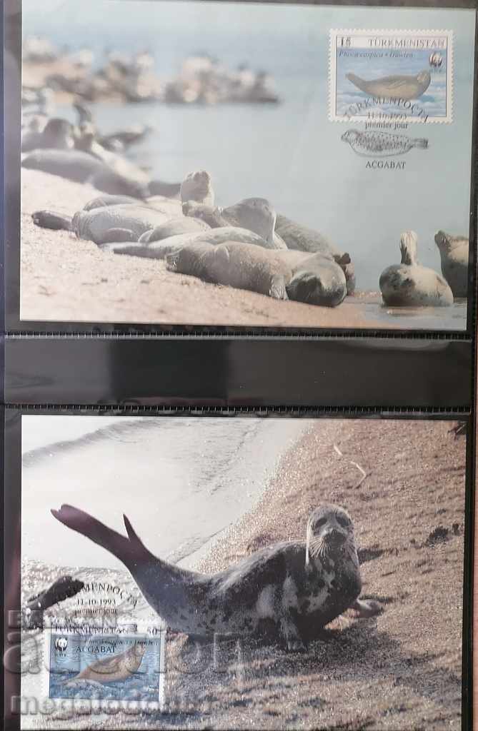 Turkmenistan - WWF, monk seal with price 8.00 BGN | € 4.09 Turkmenistan - WWF, monk seal with price 8.00 BGN | € 4.09