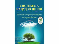 Sistemul Katsuzo Nishi