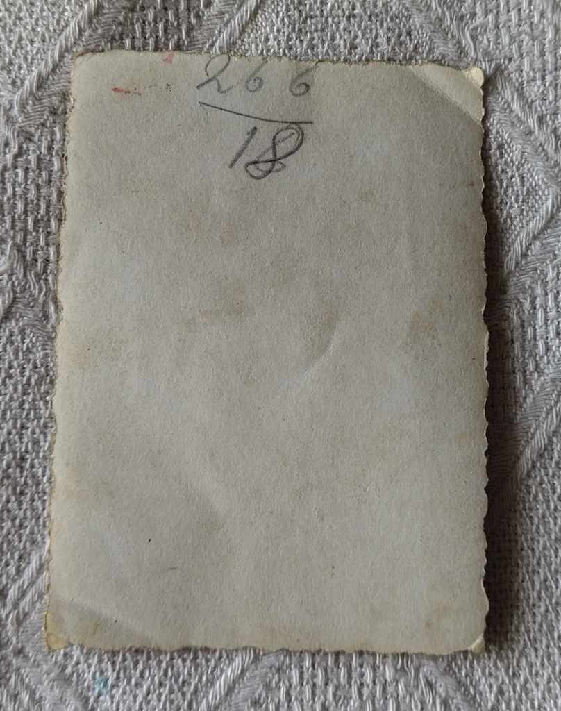 Auction FAIR SELLER WHEELS WHEELS 194 ... PHOTO Auction FAIR SELLER WHEELS WHEELS 194 ... PHOTO