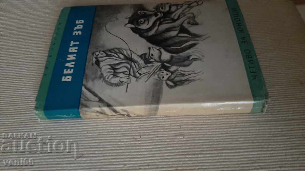 B-ka Reading for teenagers - The White Tooth with price 2.00 BGN | € 1.02 B-ka Reading for teenagers - The White Tooth with price 2.00 BGN | € 1.02