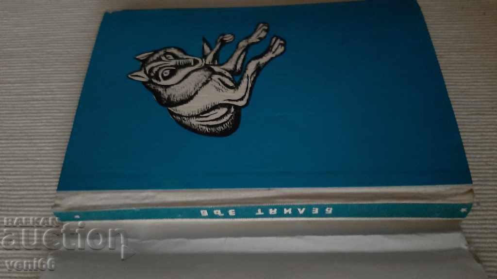 Auction B-ka Reading for teenagers - The White Tooth Auction B-ka Reading for teenagers - The White Tooth