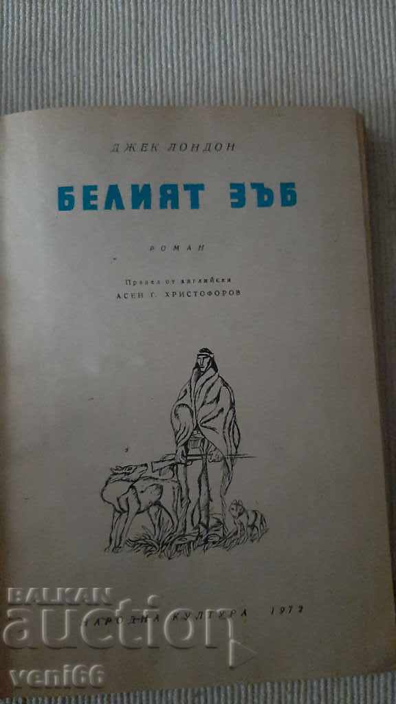 Delivery of B-ka Reading for teenagers - The White Tooth Delivery of B-ka Reading for teenagers - The White Tooth