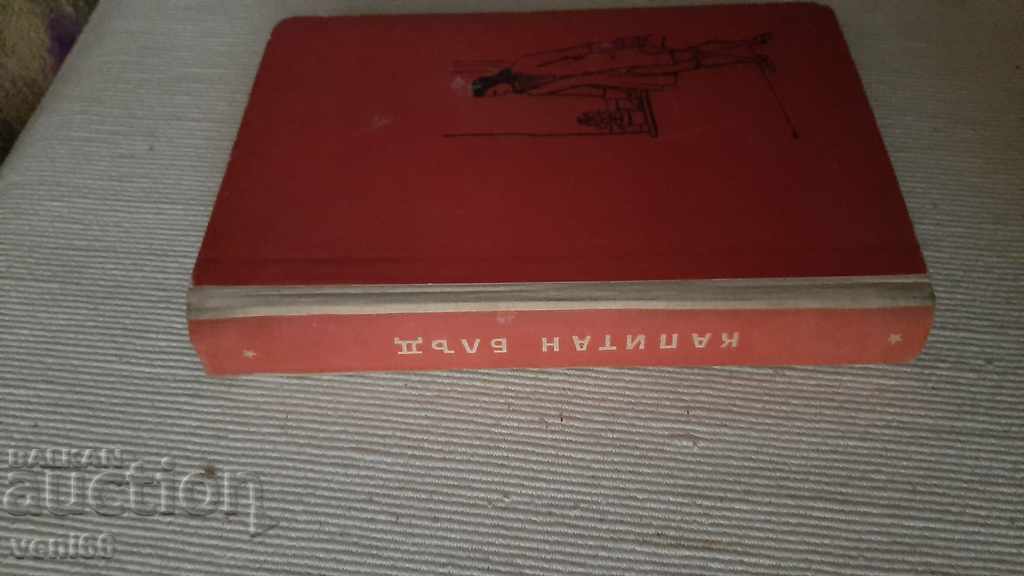 B-ka Reading for teenagers - Captain Blood with price 2.00 BGN | € 1.02 B-ka Reading for teenagers - Captain Blood with price 2.00 BGN | € 1.02