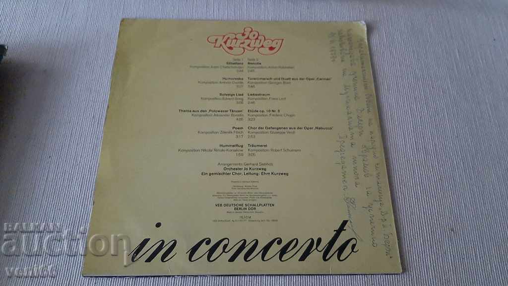 Auction Gramophone record - Joe Kurzweg at a concert Auction Gramophone record - Joe Kurzweg at a concert