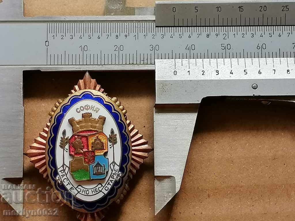 Βαθμός 1 Ένδειξη τιμής με ασημένιο κουτί - 6 Βαθμός 1 Ένδειξη τιμής με ασημένιο κουτί - 6