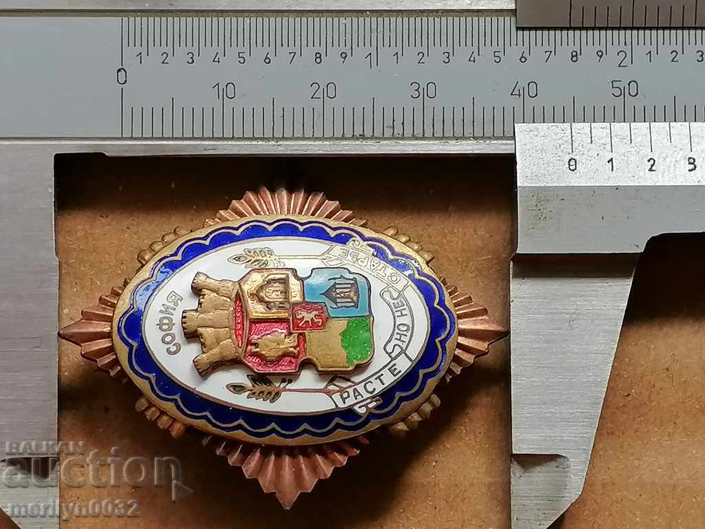 Βαθμός 1 Ένδειξη τιμής με ασημένιο κουτί - 7 Βαθμός 1 Ένδειξη τιμής με ασημένιο κουτί - 7