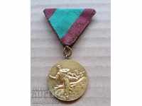 Luptator de medalii împotriva fascismului insignă de gherilă