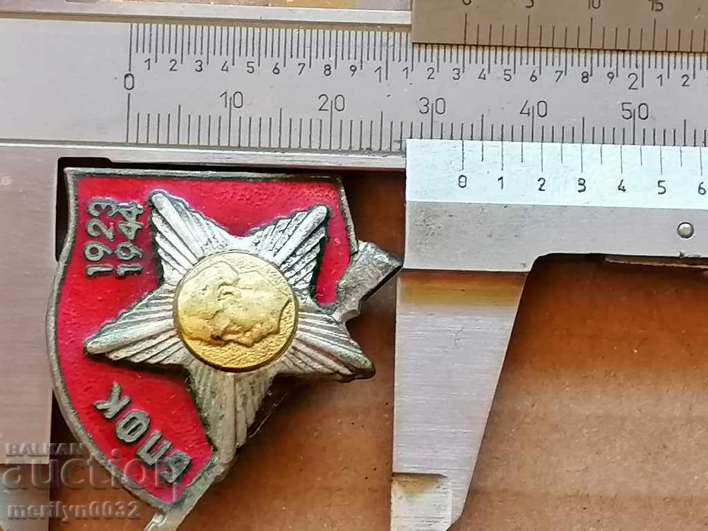 Badge active fighter against fascism badge - 5 Badge active fighter against fascism badge - 5