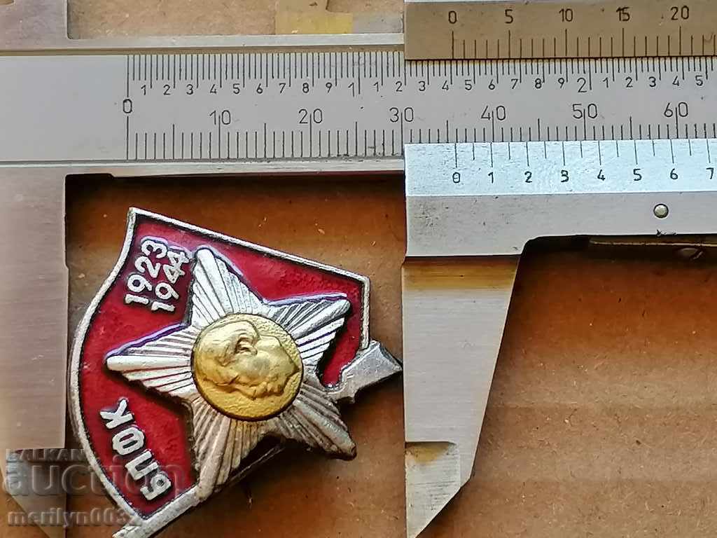 Auction  Badge active fighter against fascism badge