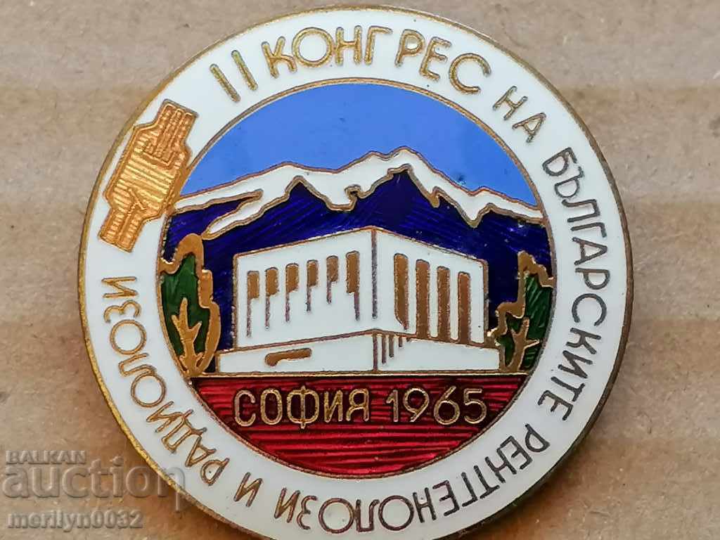 Enamel badge Congress of Radiologists and Radiologists - 6 Enamel badge Congress of Radiologists and Radiologists - 6