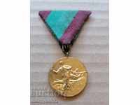 Luptator de medalii împotriva fascismului insignă de gherilă