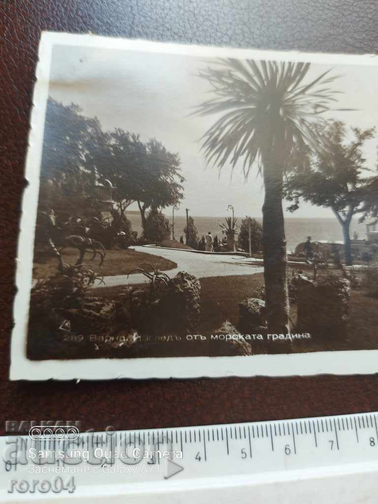 Delivery of VARNA Delivery of VARNA