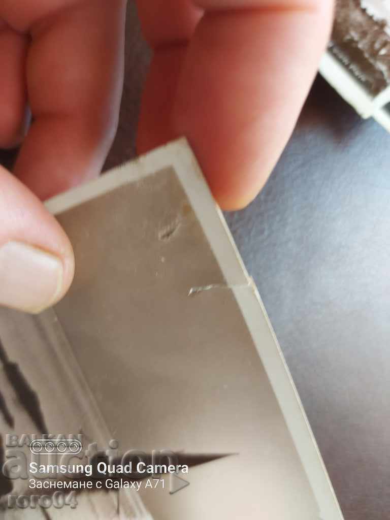 Auction VARNA Auction VARNA