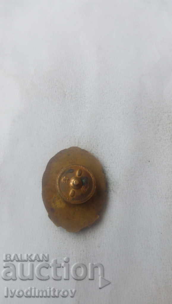 Στήθος του Εθνικού Ταμείου Ασφάλισης Υγείας Χρίστο Μποτέφ με τιμή 23.45 BGN | € 11.99