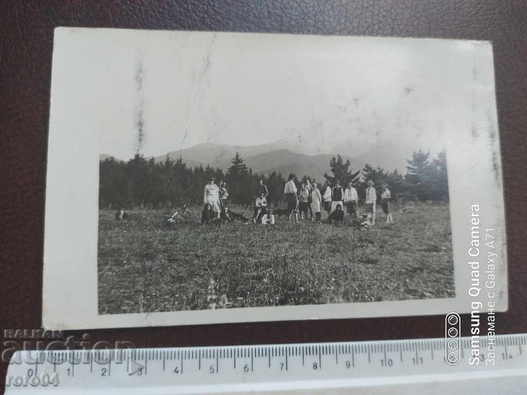 CHAMKORIA with price 13.49 BGN | € 6.90