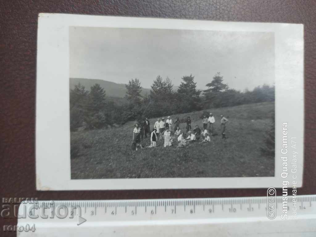 CHAMKORIA with price 13.49 BGN | € 6.90 CHAMKORIA with price 13.49 BGN | € 6.90