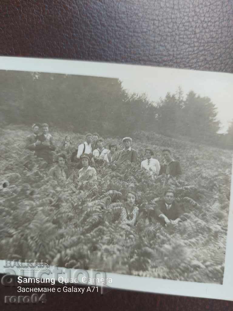 IZ RILA με τιμή 13.49 BGN | € 6.90 IZ RILA με τιμή 13.49 BGN | € 6.90