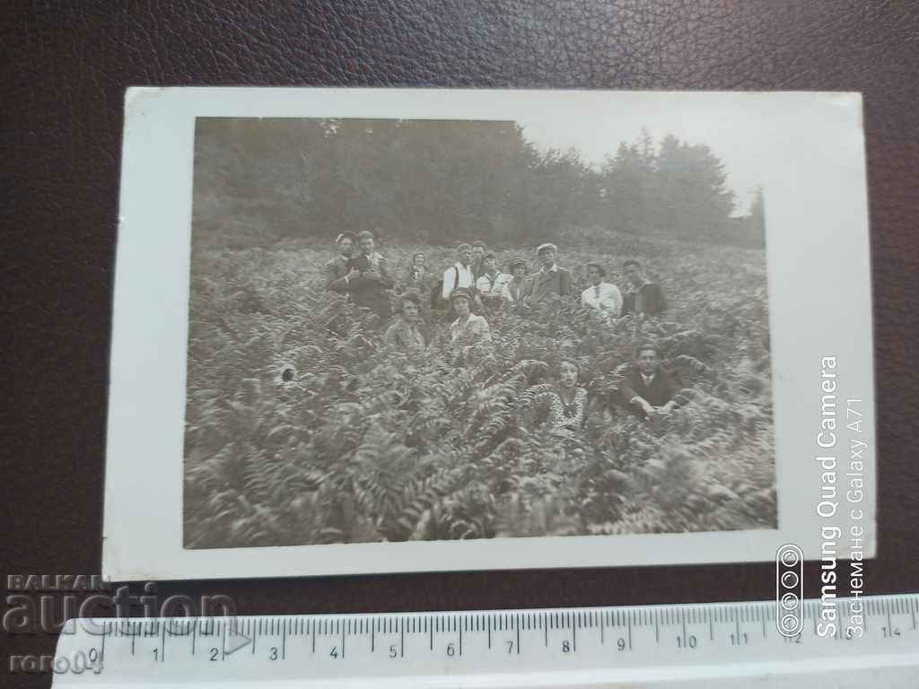 Δημοπρασία IZ RILA Δημοπρασία IZ RILA