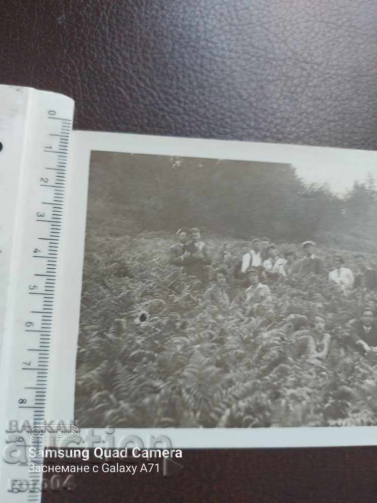 Παράδοση IZ RILA Παράδοση IZ RILA