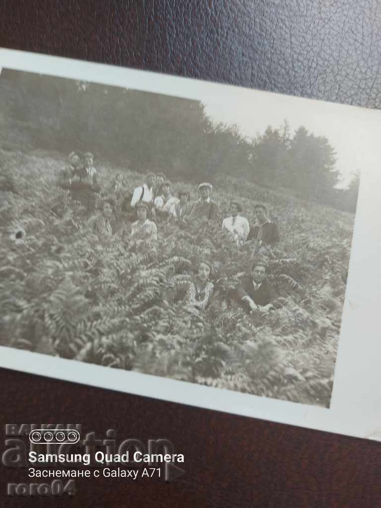 IZ RILA - 5 IZ RILA - 5