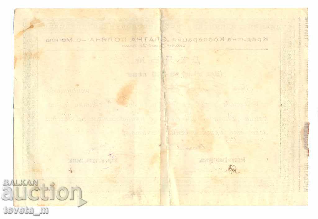 Action, BGN 200, 1934 - Bulgaria with price 5.00 BGN | € 2.56 Action, BGN 200, 1934 - Bulgaria with price 5.00 BGN | € 2.56