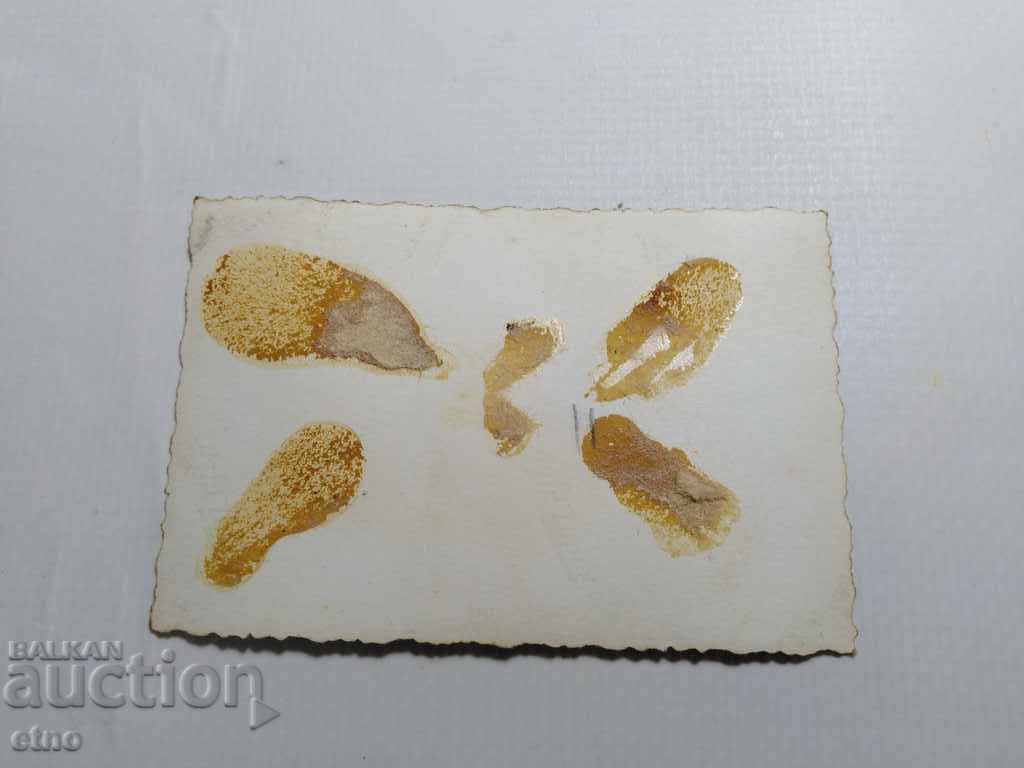 Licitație FOTOGRAFIA REALĂ KAMENITSA, STRADA SOFIA 5 LEGE Licitație FOTOGRAFIA REALĂ KAMENITSA, STRADA SOFIA 5 LEGE