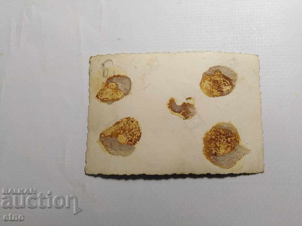 Auction  TSARSKO PHOTO-KAMENITSA BEER, SOFIA LEGE ST. 5, BEER, BURMOV