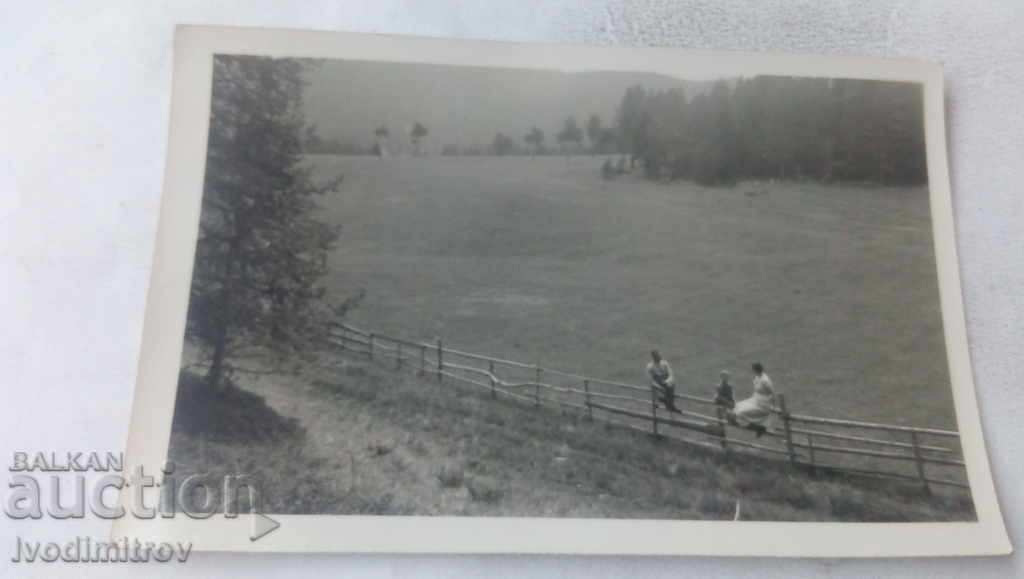 Photo Beglika Characteristic meadows 1937