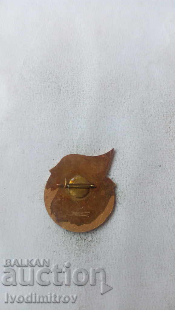 Badge For long and good-faith work with price 2.65 BGN | € 1.35 Badge For long and good-faith work with price 2.65 BGN | € 1.35