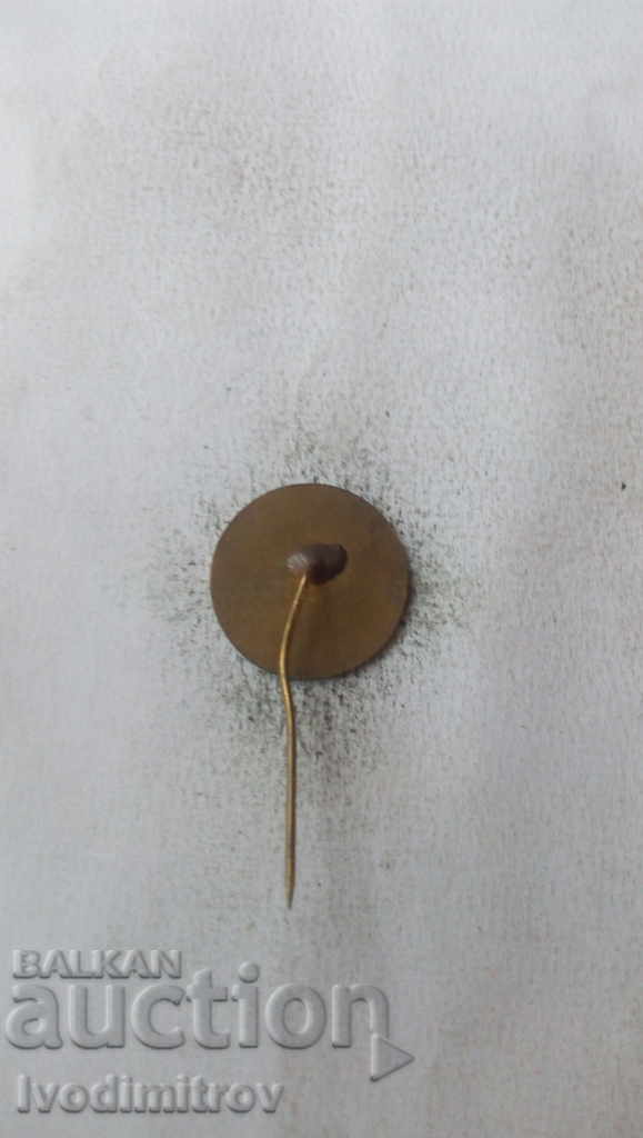 30th anniversary badge with price 2.35 BGN | € 1.20 30th anniversary badge with price 2.35 BGN | € 1.20