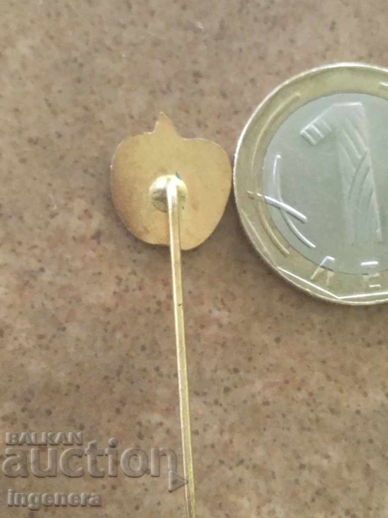 Auction SIZE Auction SIZE