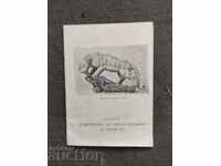 Catalog Ceramica și porțelan chinezesc modern 1960