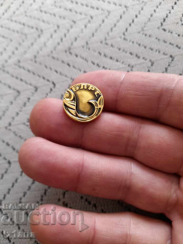 Auction Old BLRS badge Auction Old BLRS badge