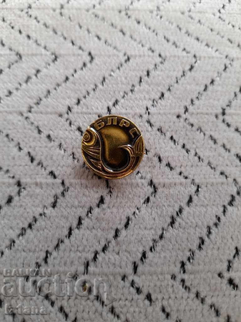 Old BLRS badge Old BLRS badge