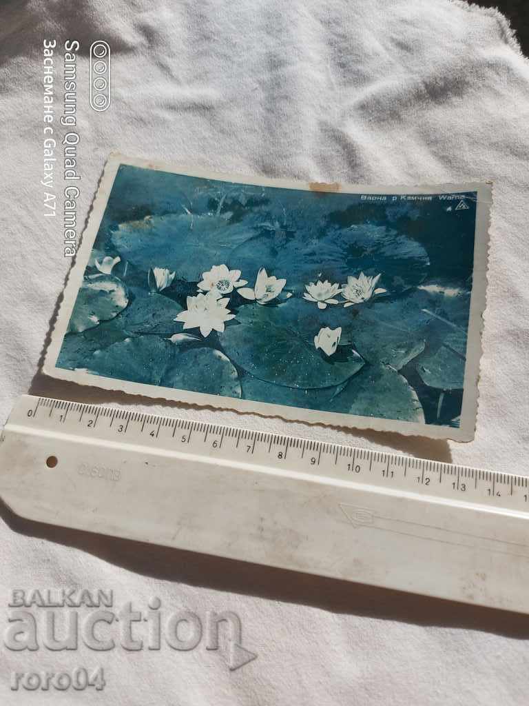 VARNA - river KAMCHIYA with price 10.00 BGN | € 5.11 VARNA - river KAMCHIYA with price 10.00 BGN | € 5.11