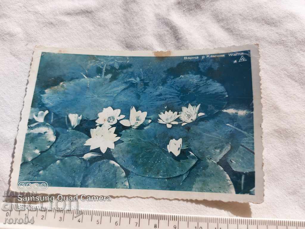 Auction VARNA - river KAMCHIYA Auction VARNA - river KAMCHIYA