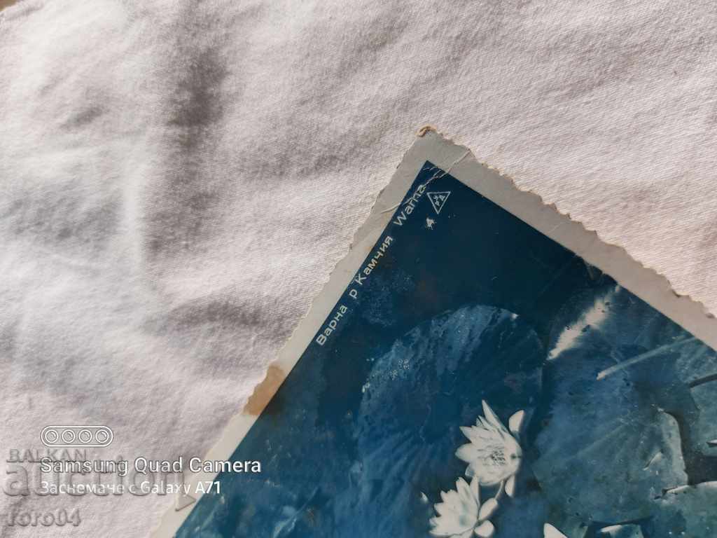 Delivery of VARNA - river KAMCHIYA Delivery of VARNA - river KAMCHIYA