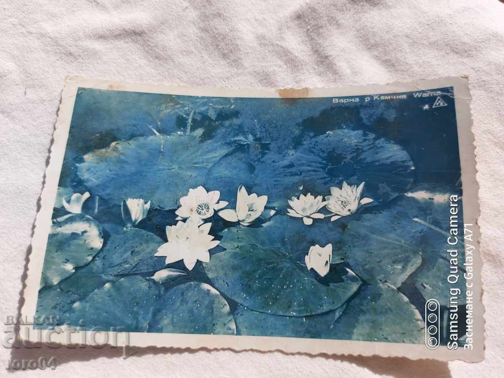 VARNA - river KAMCHIYA - 7 VARNA - river KAMCHIYA - 7